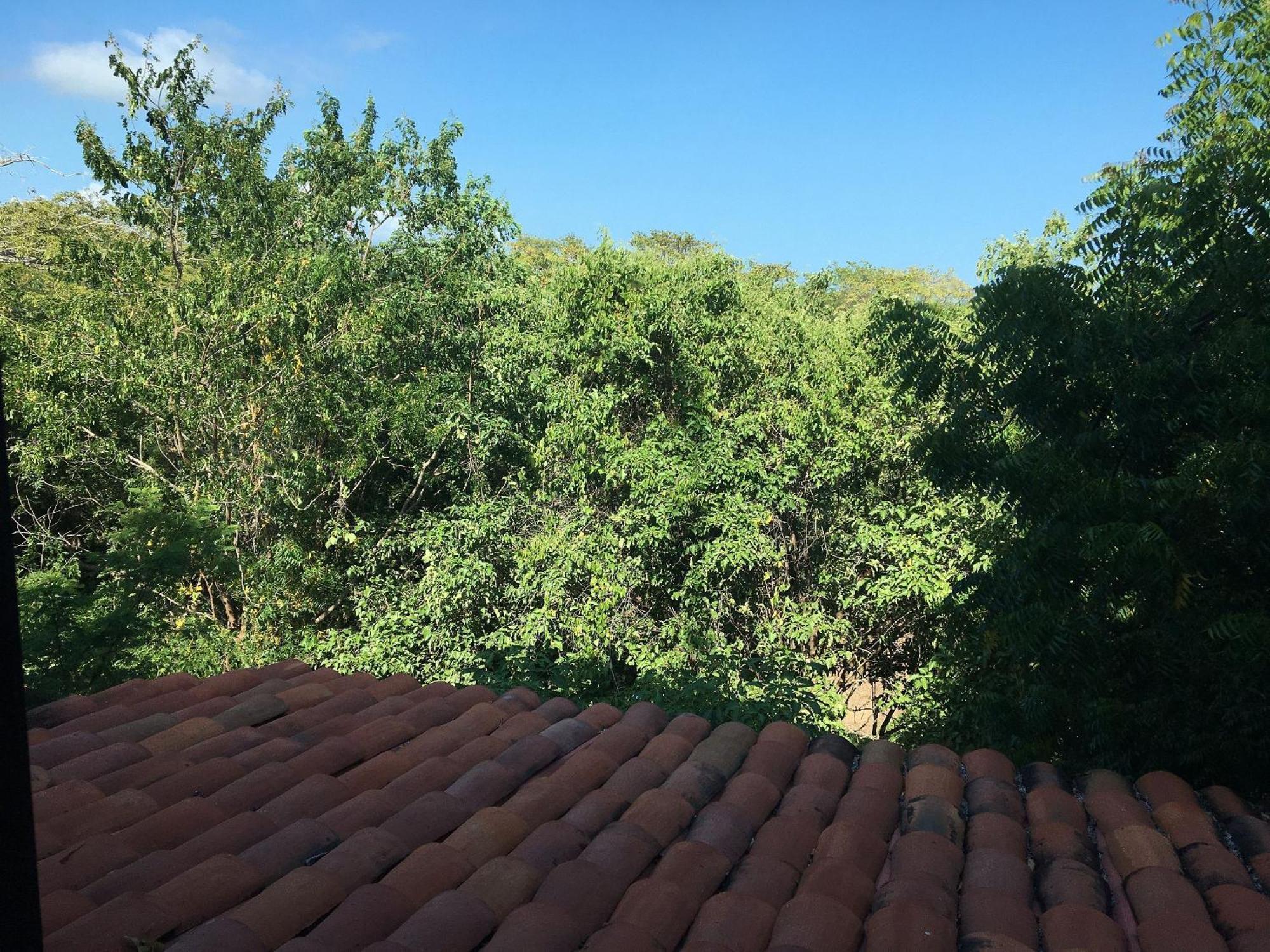 Centro Sati Bungalow Cuatunalco Kültér fotó